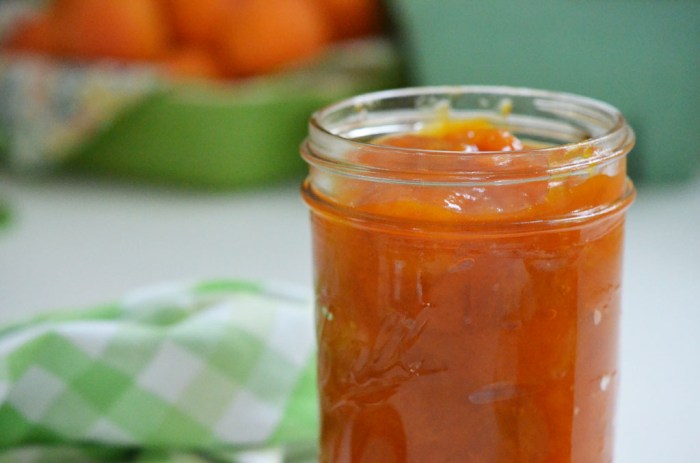 Apricot sauce recipes